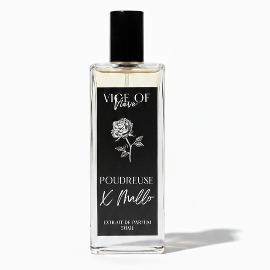 Poudreuse X Mallo