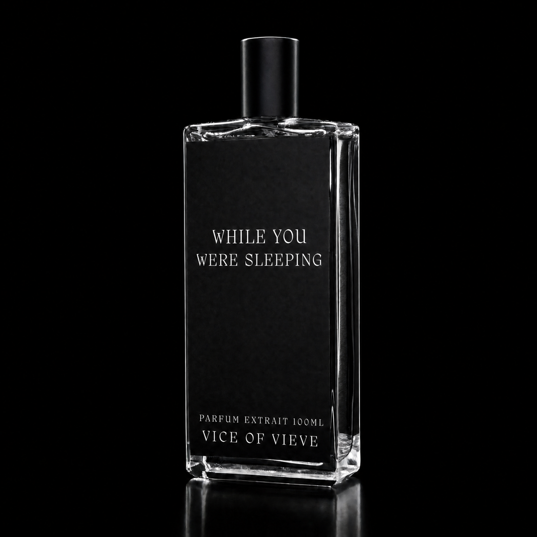 WHILE YOU WERE SLEEPING