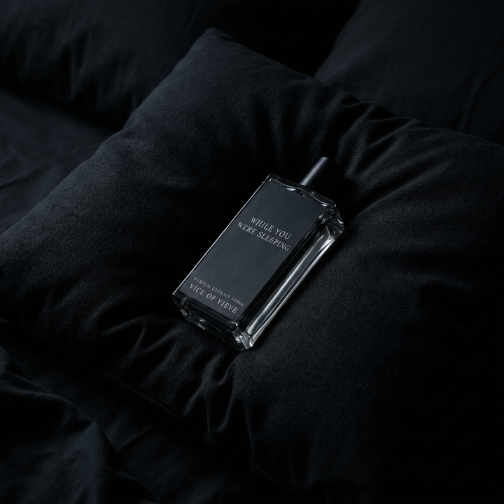 WHILE YOU WERE SLEEPING